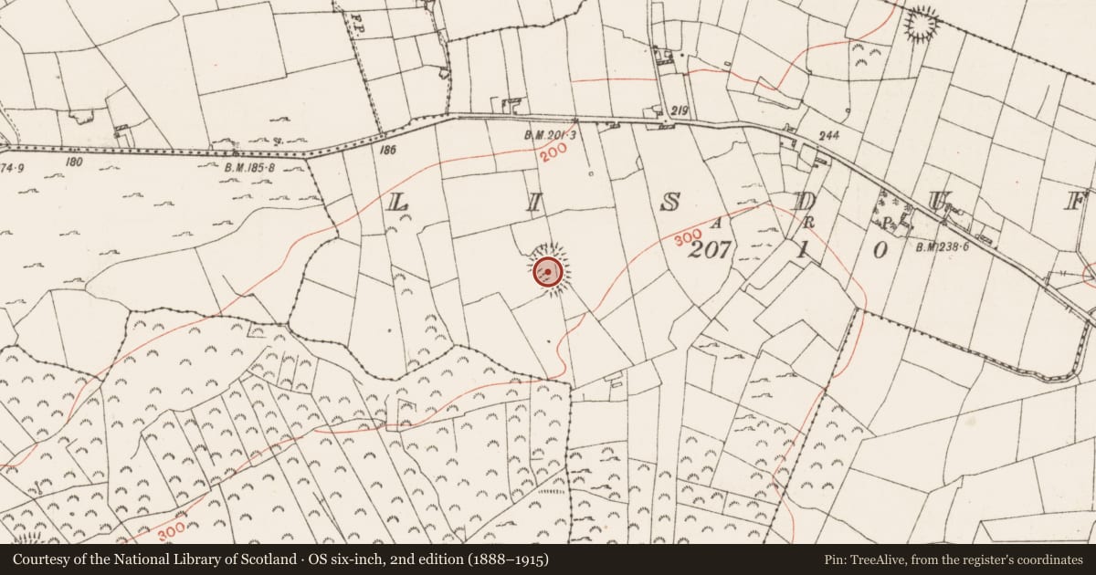 Ordnance Survey six-inch map, 2nd edition (1888–1915) covering the location of Ringfort - rath, Lisduff, County Roscommon, with a pin at the register's coordinates