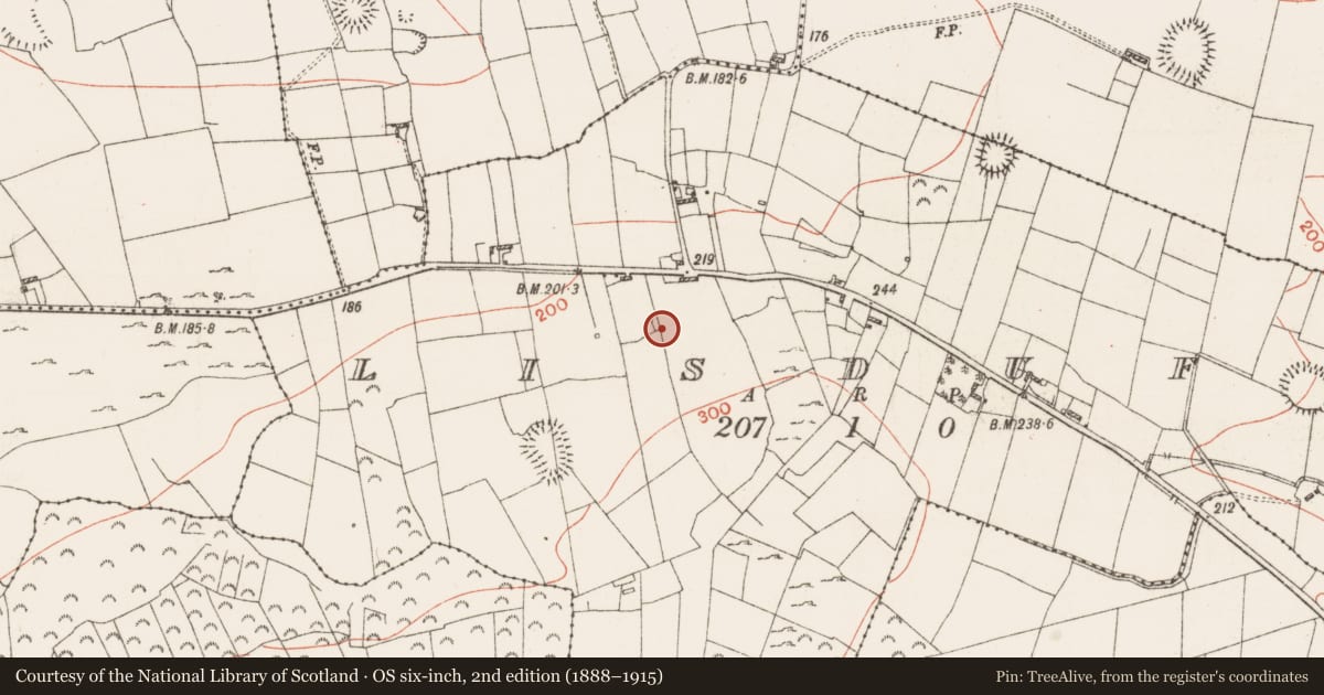 Ordnance Survey six-inch map, 2nd edition (1888–1915) covering the location of Earthwork, Lisduff, County Roscommon, with a pin at the register's coordinates