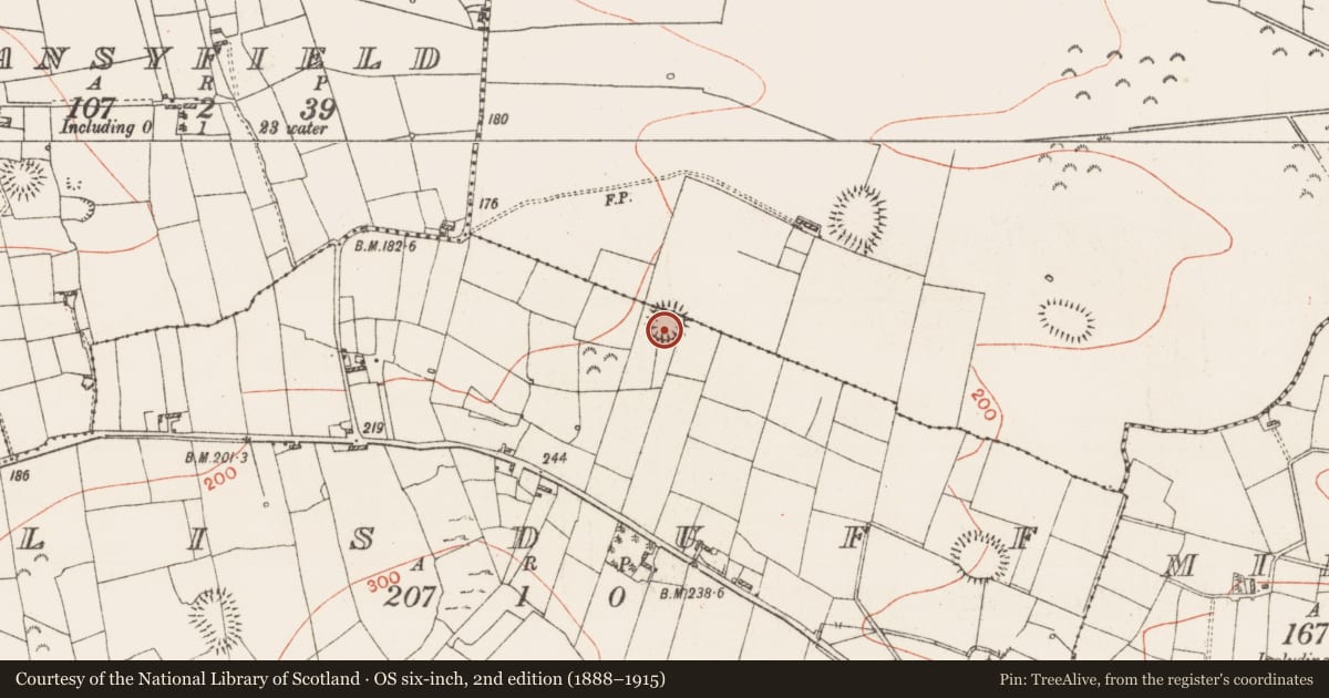 Ordnance Survey six-inch map, 2nd edition (1888–1915) covering the location of Ringfort - rath, Carrownamaddy, Lisduff, County Roscommon, with a pin at the register's coordinates
