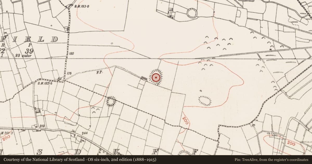 Ordnance Survey six-inch map, 2nd edition (1888–1915) covering the location of Ringfort - rath, Carrownamaddy, County Roscommon, with a pin at the register's coordinates