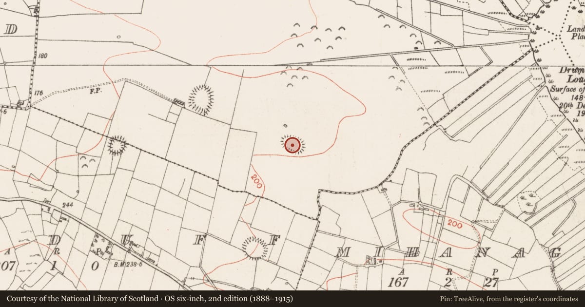 Ordnance Survey six-inch map, 2nd edition (1888–1915) covering the location of Ringfort - rath, Carrownamaddy, County Roscommon, with a pin at the register's coordinates