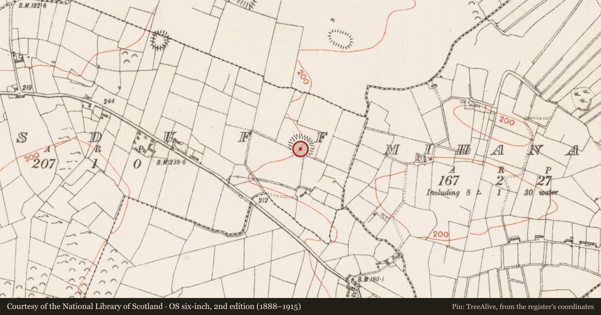 Ordnance Survey six-inch map, 2nd edition (1888–1915) covering the location of Ringfort - rath, Lisduff, County Roscommon, with a pin at the register's coordinates