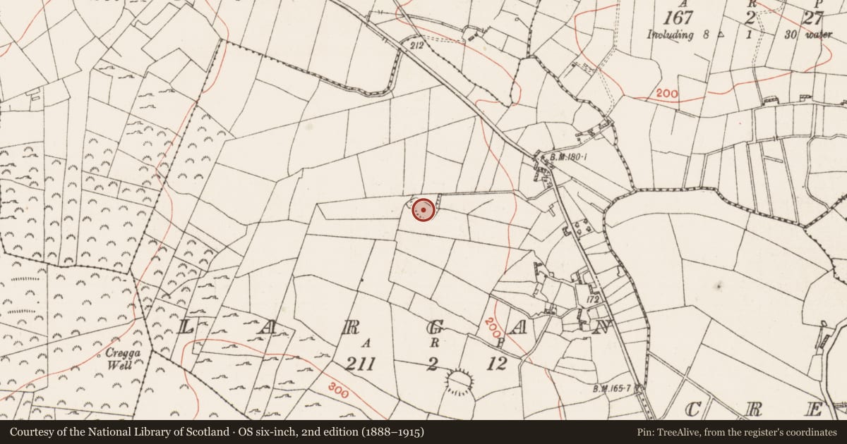 Ordnance Survey six-inch map, 2nd edition (1888–1915) covering the location of Ringfort - rath, Largan, County Roscommon, with a pin at the register's coordinates