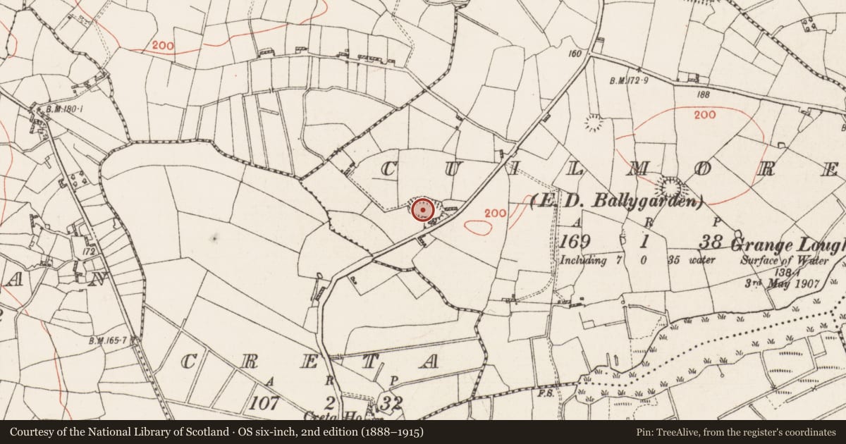 Ordnance Survey six-inch map, 2nd edition (1888–1915) covering the location of Ringfort - rath, Cuilmore, County Roscommon, with a pin at the register's coordinates