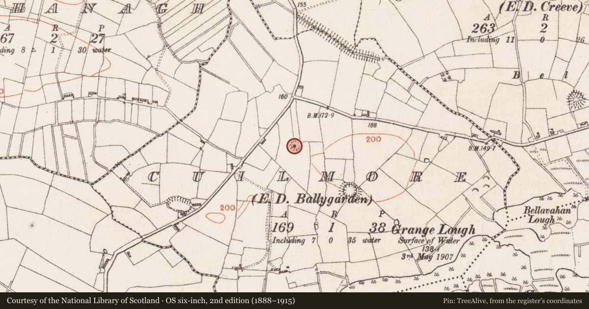 Ordnance Survey six-inch map, 2nd edition (1888–1915) covering the location of Ringfort - rath, Cuilmore, County Roscommon, with a pin at the register's coordinates