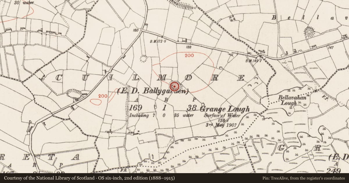 Ordnance Survey six-inch map, 2nd edition (1888–1915) covering the location of Ringfort - rath, Cuilmore, County Roscommon, with a pin at the register's coordinates
