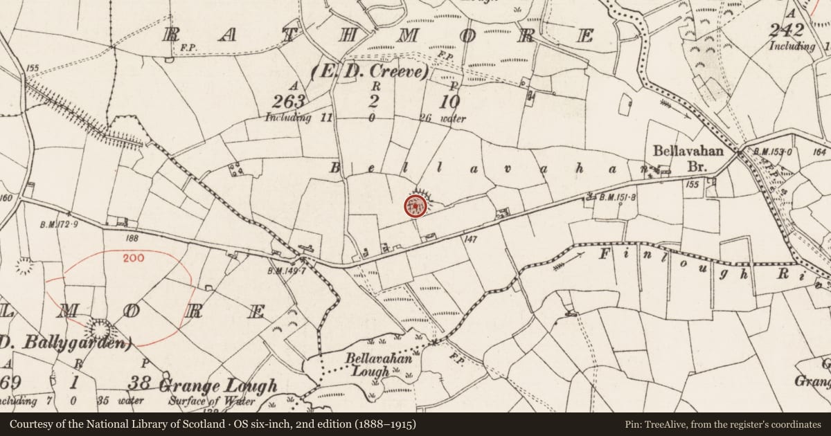 Ordnance Survey six-inch map, 2nd edition (1888–1915) covering the location of Ringfort - rath, Rathmore, County Roscommon, with a pin at the register's coordinates