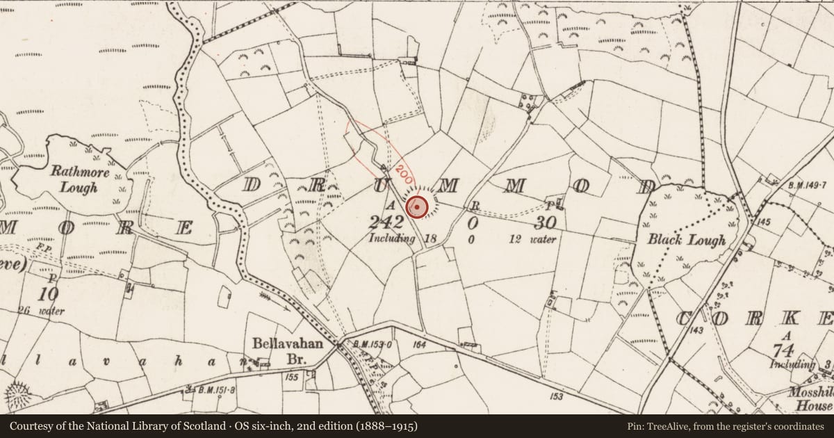 Ordnance Survey six-inch map, 2nd edition (1888–1915) covering the location of Ringfort - rath, Drummod, County Roscommon, with a pin at the register's coordinates