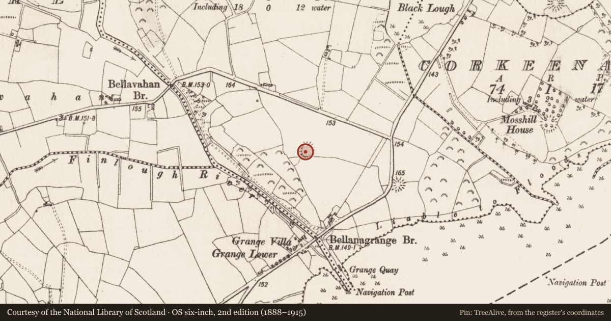 Ordnance Survey six-inch map, 2nd edition (1888–1915) covering the location of Ringfort - rath, Drummod, County Roscommon, with a pin at the register's coordinates