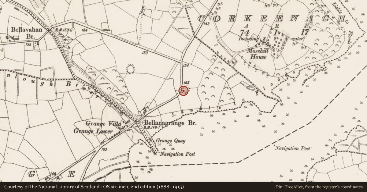 Ordnance Survey six-inch map, 2nd edition (1888–1915) covering the location of Ringfort - rath, Drummod, County Roscommon, with a pin at the register's coordinates