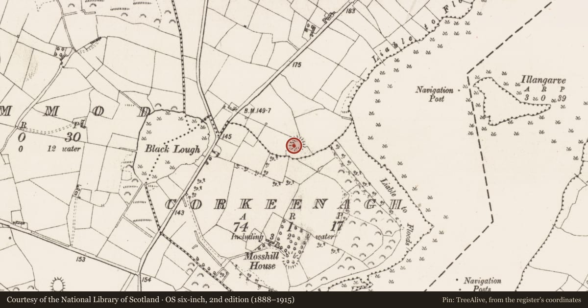 Ordnance Survey six-inch map, 2nd edition (1888–1915) covering the location of Ringfort - rath, Cuilmore, County Roscommon, with a pin at the register's coordinates