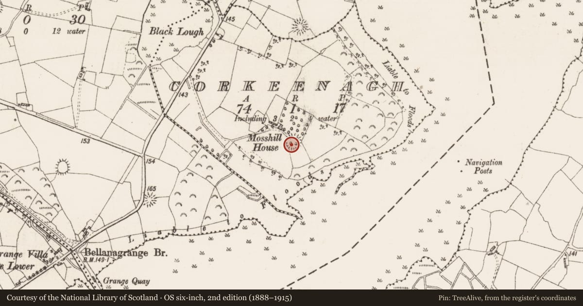 Ordnance Survey six-inch map, 2nd edition (1888–1915) covering the location of Ringfort - rath, Corkeenagh, County Roscommon, with a pin at the register's coordinates