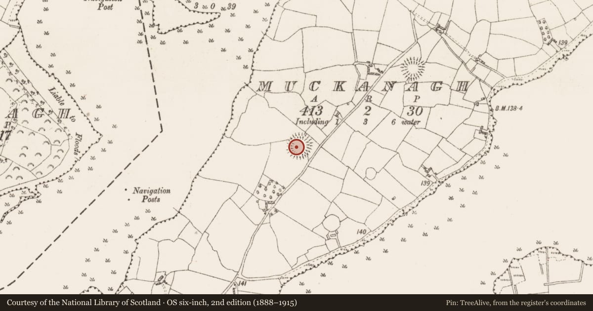 Ordnance Survey six-inch map, 2nd edition (1888–1915) covering the location of Ringfort - rath, Muckanagh, County Roscommon, with a pin at the register's coordinates