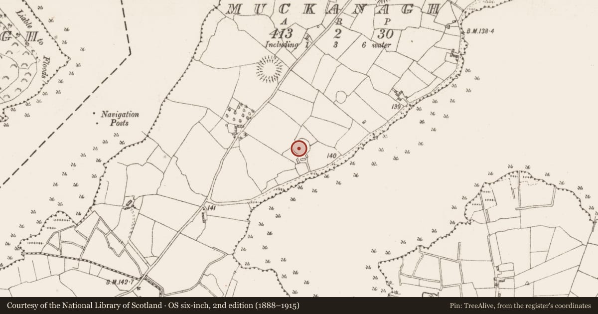 Ordnance Survey six-inch map, 2nd edition (1888–1915) covering the location of Ringfort - rath, Muckanagh, County Roscommon, with a pin at the register's coordinates