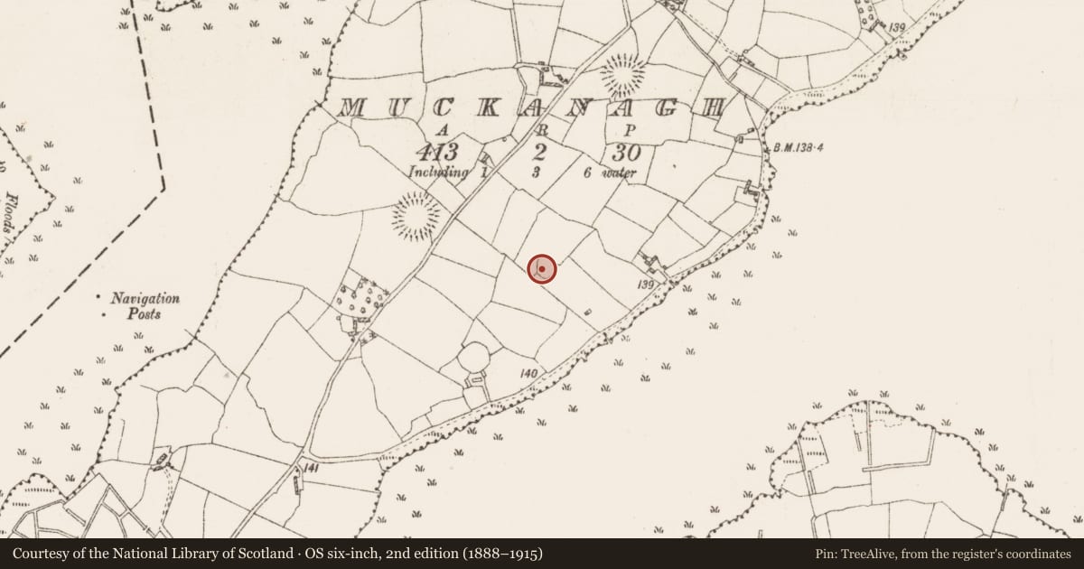 Ordnance Survey six-inch map, 2nd edition (1888–1915) covering the location of Ringfort - rath, Muckanagh, County Roscommon, with a pin at the register's coordinates