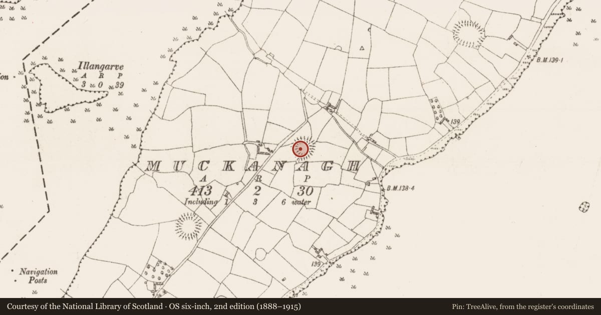 Ordnance Survey six-inch map, 2nd edition (1888–1915) covering the location of Ringfort - rath, Muckanagh, County Roscommon, with a pin at the register's coordinates