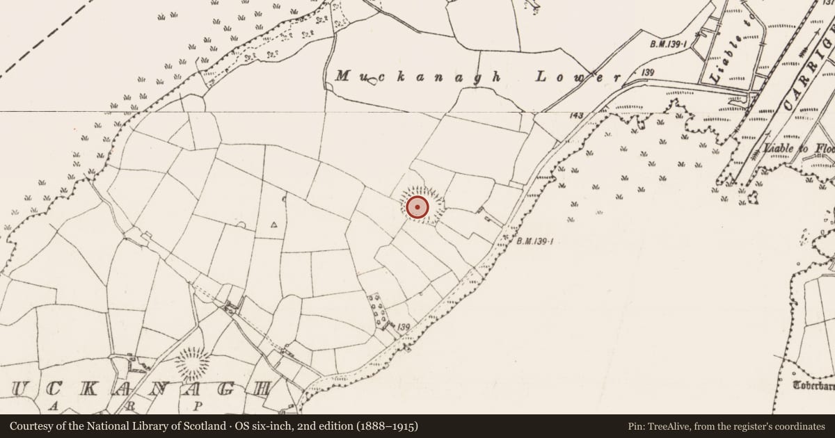 Ordnance Survey six-inch map, 2nd edition (1888–1915) covering the location of Ringfort - rath, Muckanagh, County Roscommon, with a pin at the register's coordinates