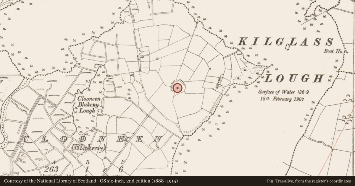 Ordnance Survey six-inch map, 2nd edition (1888–1915) covering the location of Ringfort - rath, Clooneen (Blakeny), County Roscommon, with a pin at the register's coordinates