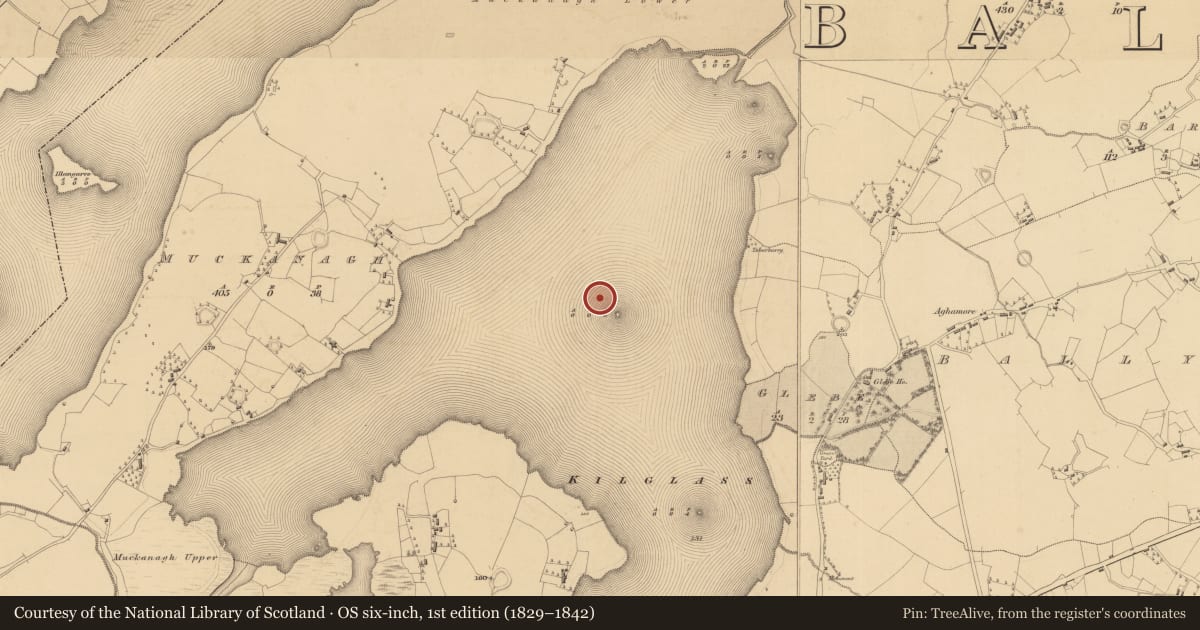 Ordnance Survey six-inch map, 1st edition (1829–1842) covering the location of Crannog, Kilglass Lough, County Roscommon, with a pin at the register's coordinates