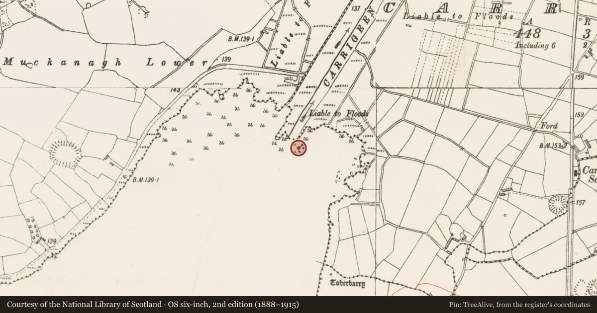 Ordnance Survey six-inch map, 2nd edition (1888–1915) covering the location of Crannog, Kilglass Lough, County Roscommon, with a pin at the register's coordinates