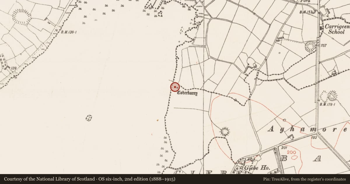 Ordnance Survey six-inch map, 2nd edition (1888–1915) covering the location of Ritual site - holy well, Ballykilcline, County Roscommon, with a pin at the register's coordinates