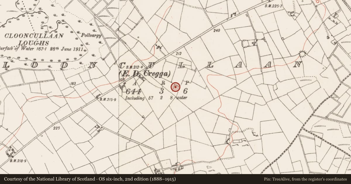 Ordnance Survey six-inch map, 2nd edition (1888–1915) covering the location of Ringfort - rath, Clooncullaan, County Roscommon, with a pin at the register's coordinates