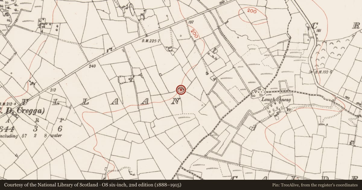 Ordnance Survey six-inch map, 2nd edition (1888–1915) covering the location of Ringfort - rath, Clooncullaan, County Roscommon, with a pin at the register's coordinates