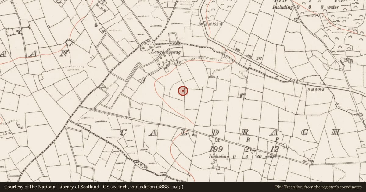 Ordnance Survey six-inch map, 2nd edition (1888–1915) covering the location of Hilltop enclosure, Caldragh, County Roscommon, with a pin at the register's coordinates