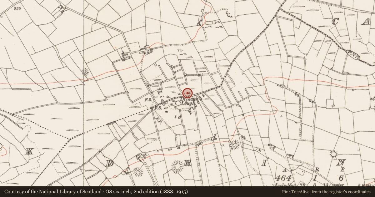 Ordnance Survey six-inch map, 2nd edition (1888–1915) covering the location of Crannog, Clooncullaan, County Roscommon, with a pin at the register's coordinates