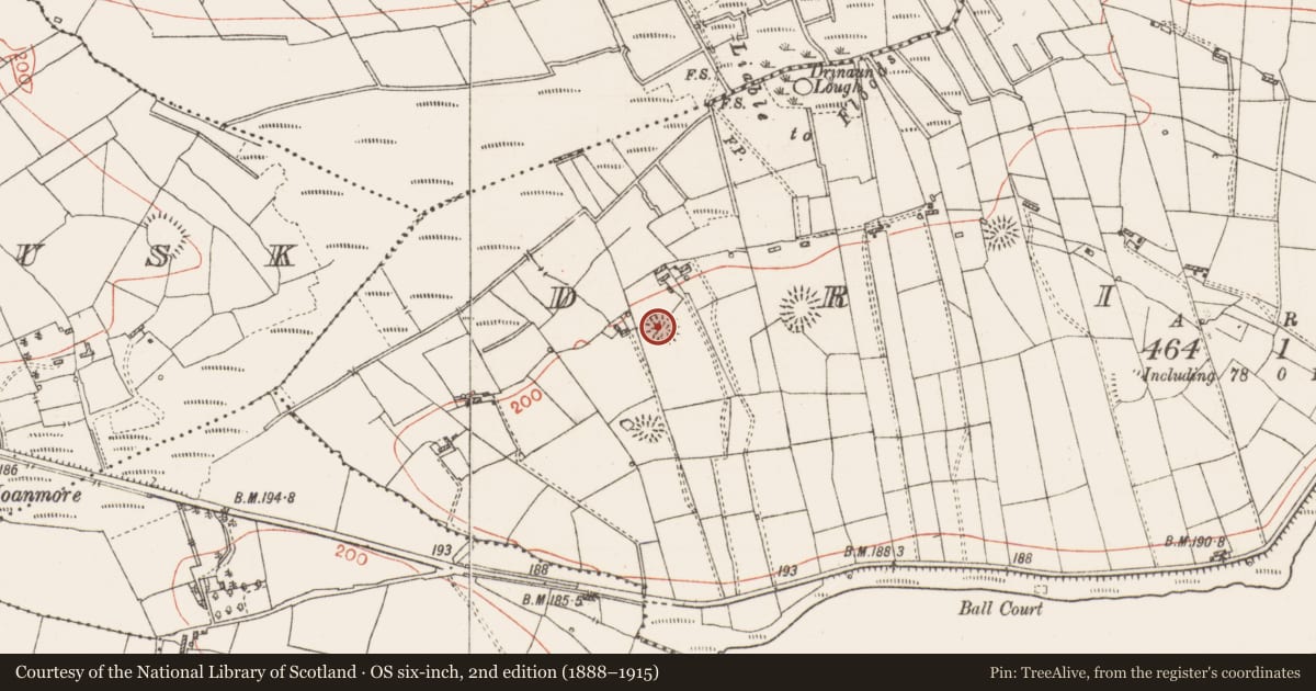 Ordnance Survey six-inch map, 2nd edition (1888–1915) covering the location of Ringfort - rath, Drinaun, County Roscommon, with a pin at the register's coordinates