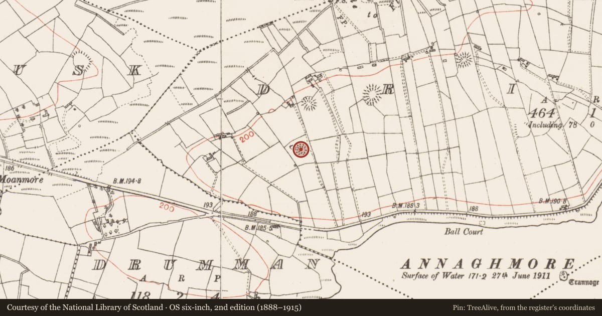 Ordnance Survey six-inch map, 2nd edition (1888–1915) covering the location of Ringfort - rath, Drinaun, County Roscommon, with a pin at the register's coordinates