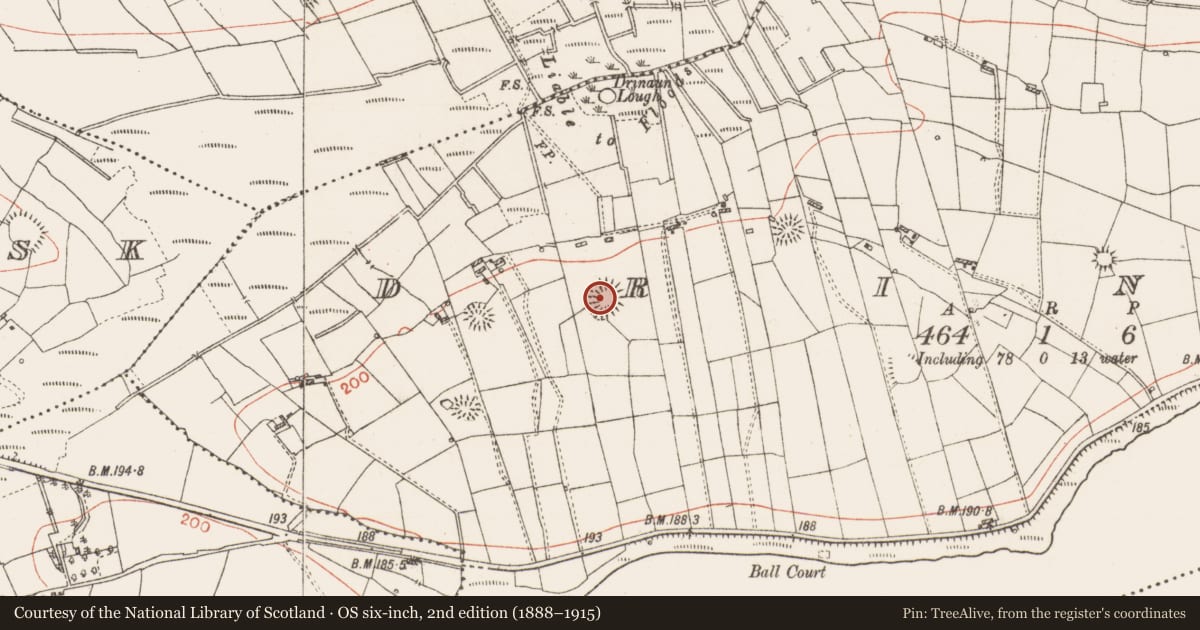 Ordnance Survey six-inch map, 2nd edition (1888–1915) covering the location of Ringfort - rath, Drinaun, County Roscommon, with a pin at the register's coordinates