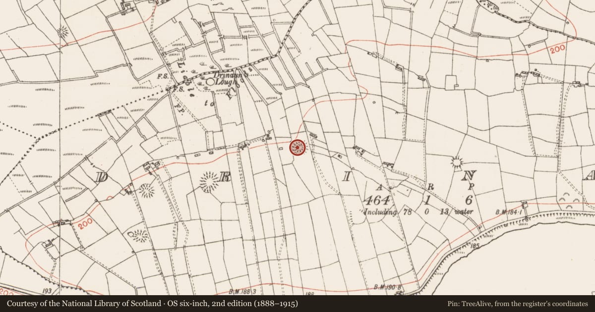 Ordnance Survey six-inch map, 2nd edition (1888–1915) covering the location of Ringfort - rath, Drinaun, County Roscommon, with a pin at the register's coordinates