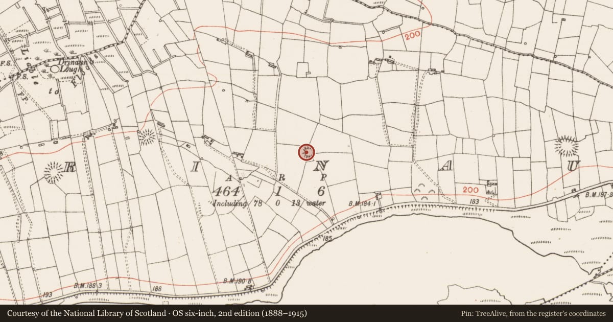 Ordnance Survey six-inch map, 2nd edition (1888–1915) covering the location of Ringfort - rath, Drinaun, County Roscommon, with a pin at the register's coordinates