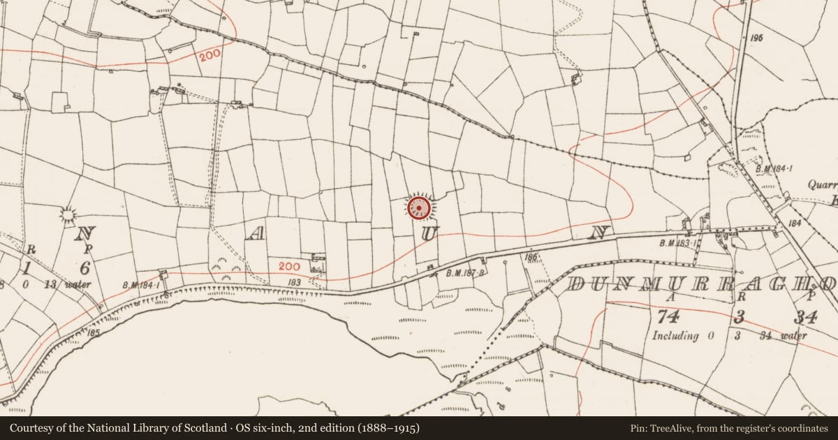 Ordnance Survey six-inch map, 2nd edition (1888–1915) covering the location of Ringfort - rath, Drinaun, County Roscommon, with a pin at the register's coordinates