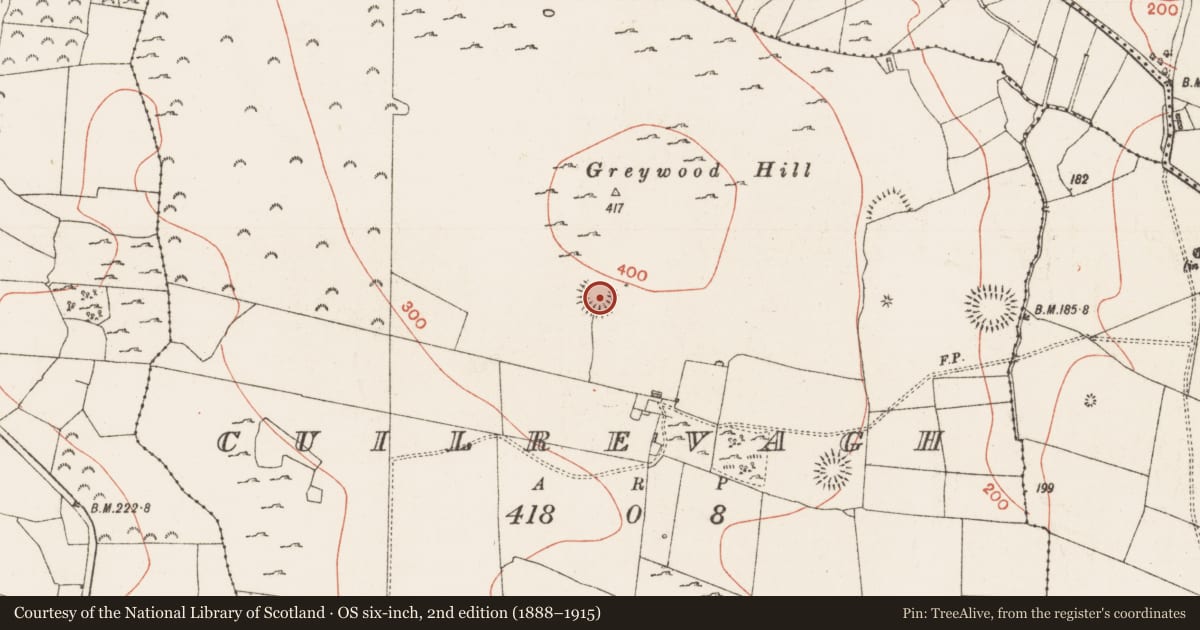 Ordnance Survey six-inch map, 2nd edition (1888–1915) covering the location of Ringfort - rath, Cuilrevagh, County Roscommon, with a pin at the register's coordinates