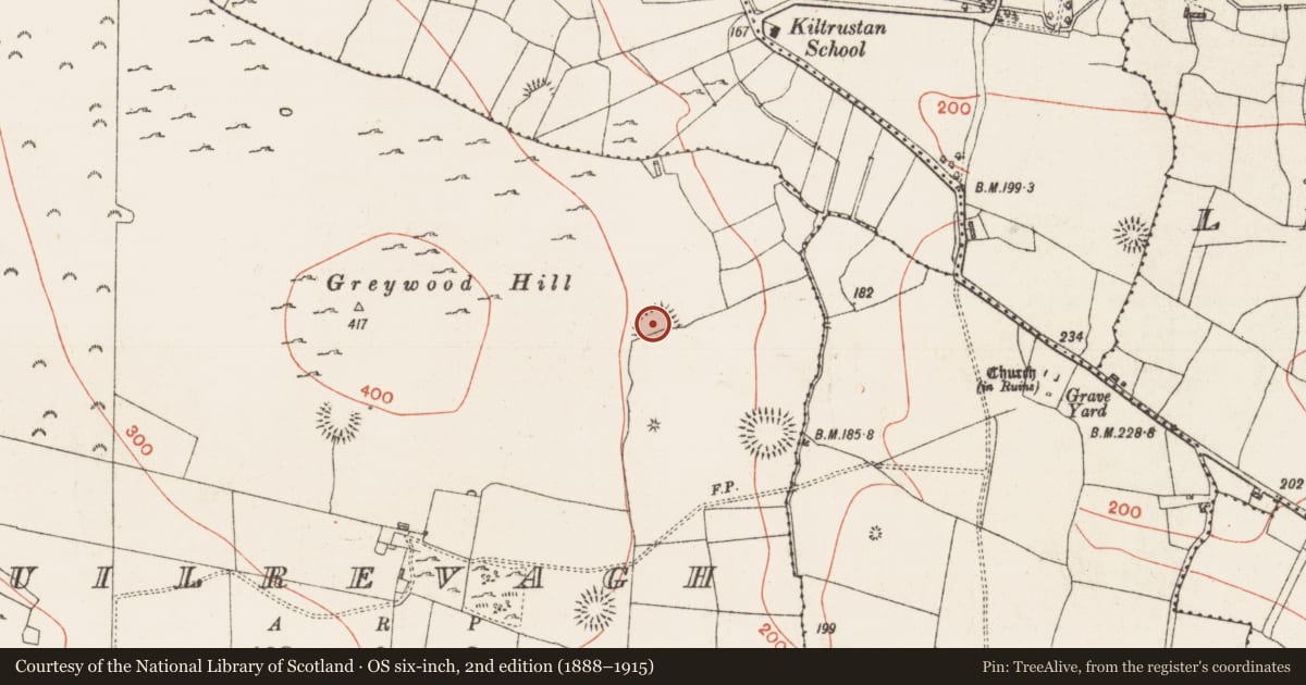 Ordnance Survey six-inch map, 2nd edition (1888–1915) covering the location of Ringfort - rath, Cuilrevagh, County Roscommon, with a pin at the register's coordinates