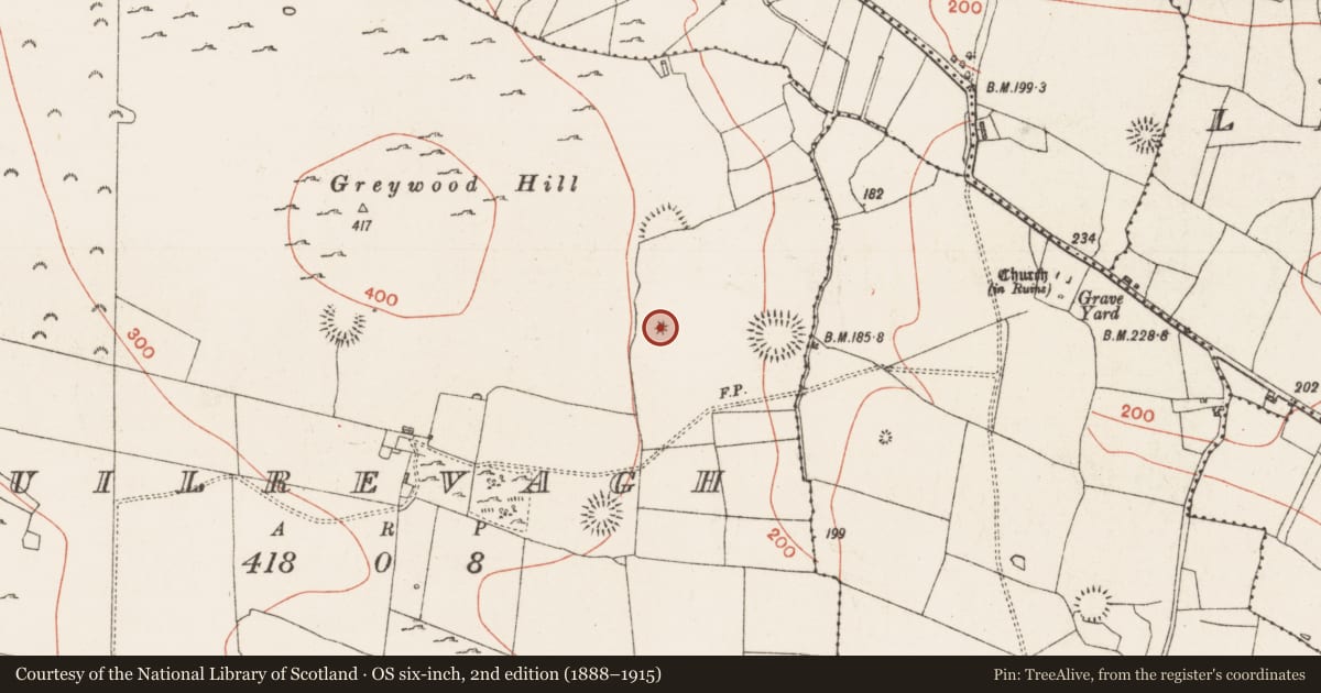 Ordnance Survey six-inch map, 2nd edition (1888–1915) covering the location of Kiln - lime, Cuilrevagh, County Roscommon, with a pin at the register's coordinates