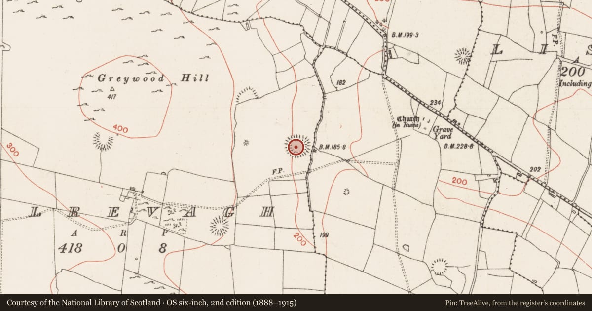 Ordnance Survey six-inch map, 2nd edition (1888–1915) covering the location of Ringfort - rath, Cuilrevagh, County Roscommon, with a pin at the register's coordinates