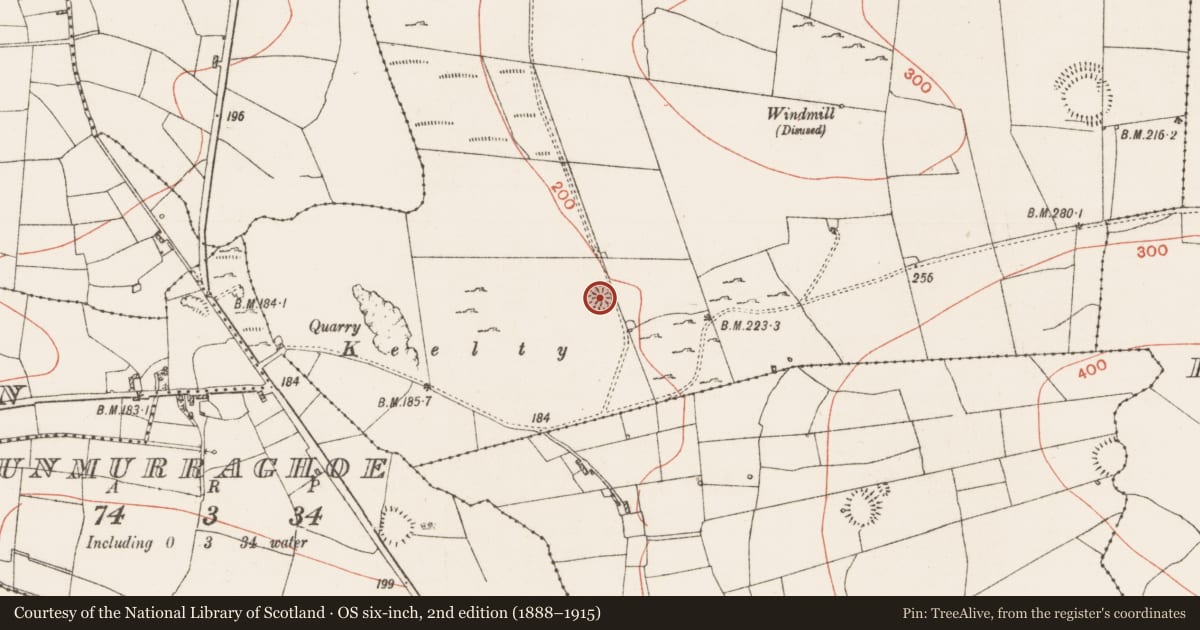 Ordnance Survey six-inch map, 2nd edition (1888–1915) covering the location of Ringfort - cashel, Cuilrevagh, County Roscommon, with a pin at the register's coordinates