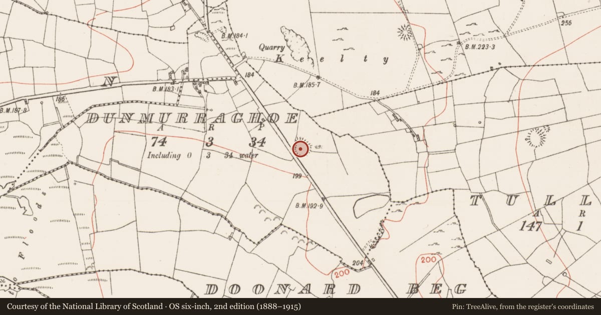 Ordnance Survey six-inch map, 2nd edition (1888–1915) covering the location of Ringfort - rath, Dunmurraghoe, County Roscommon, with a pin at the register's coordinates