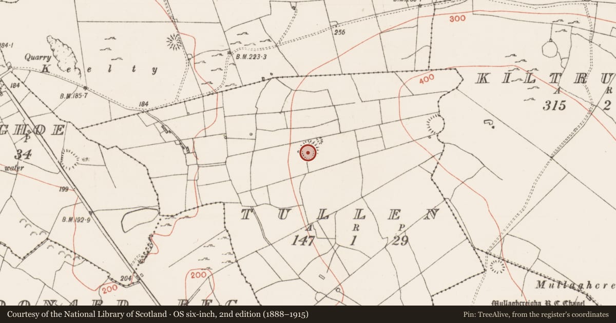 Ordnance Survey six-inch map, 2nd edition (1888–1915) covering the location of Ringfort - rath, Tullen, County Roscommon, with a pin at the register's coordinates