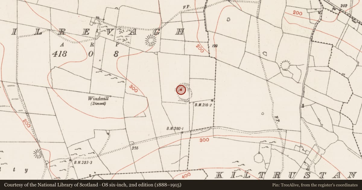Ordnance Survey six-inch map, 2nd edition (1888–1915) covering the location of Souterrain, Cuilrevagh, County Roscommon, with a pin at the register's coordinates