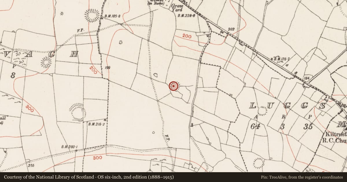 Ordnance Survey six-inch map, 2nd edition (1888–1915) covering the location of Ringfort - rath, Kiltrustan, County Roscommon, with a pin at the register's coordinates