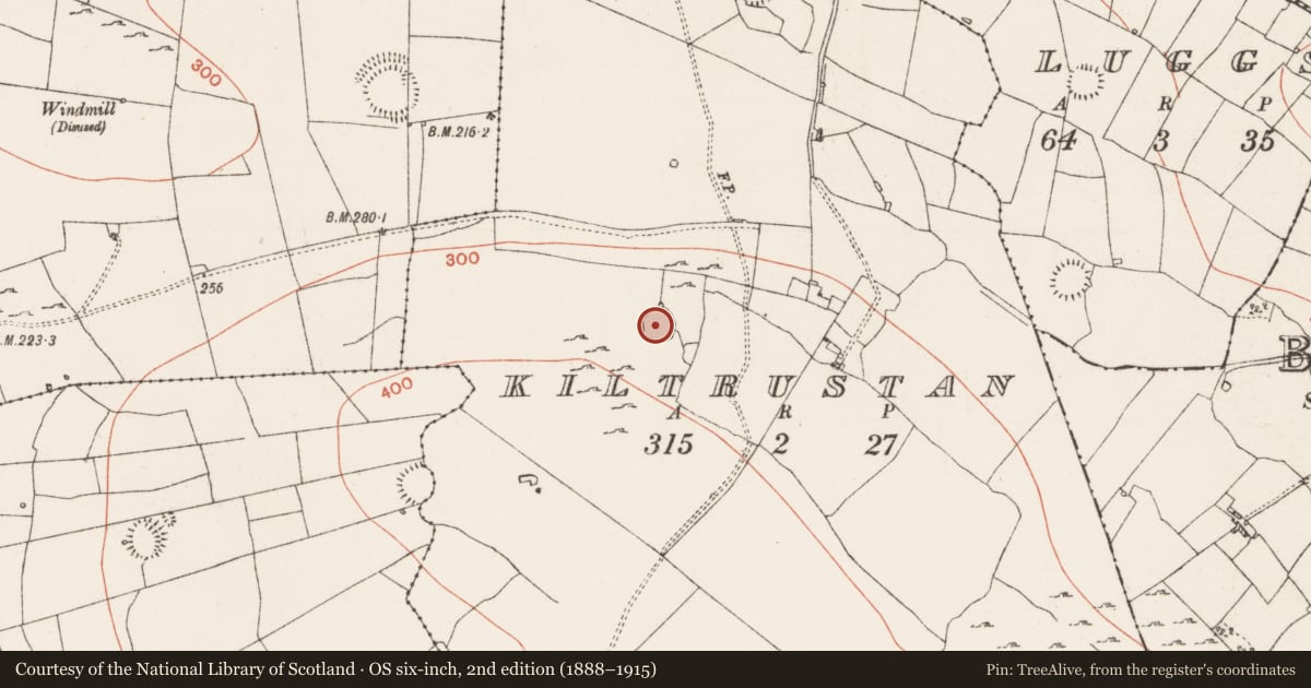 Ordnance Survey six-inch map, 2nd edition (1888–1915) covering the location of Ringfort - cashel, Kiltrustan, County Roscommon, with a pin at the register's coordinates