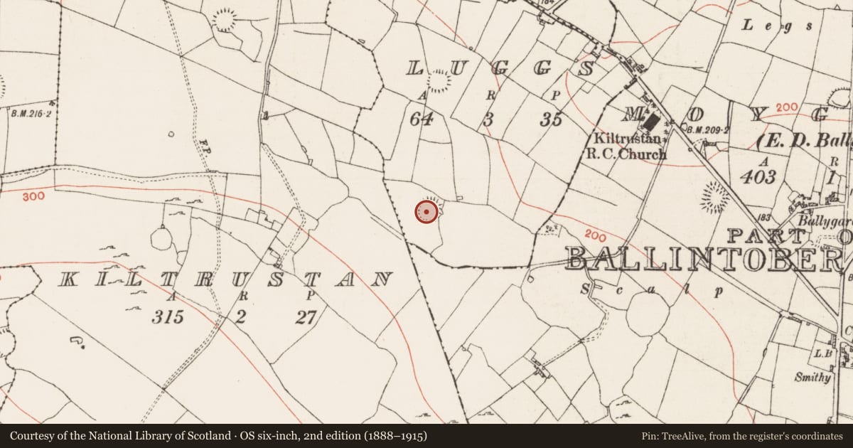 Ordnance Survey six-inch map, 2nd edition (1888–1915) covering the location of Ringfort - rath, Luggs, County Roscommon, with a pin at the register's coordinates