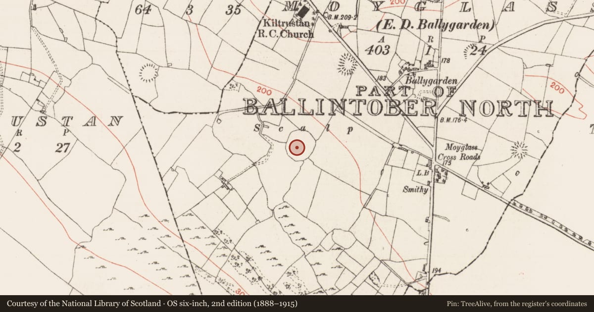 Ordnance Survey six-inch map, 2nd edition (1888–1915) covering the location of Enclosure - large enclosure, Moyglass, County Roscommon, with a pin at the register's coordinates