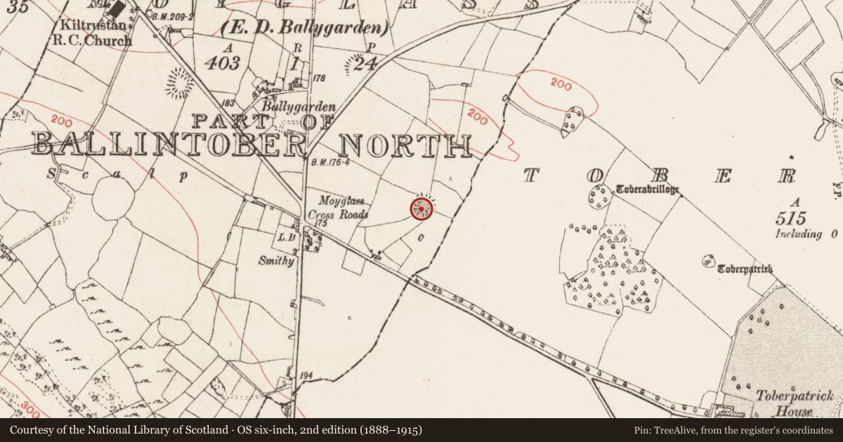 Ordnance Survey six-inch map, 2nd edition (1888–1915) covering the location of Ringfort - rath, Moyglass, County Roscommon, with a pin at the register's coordinates