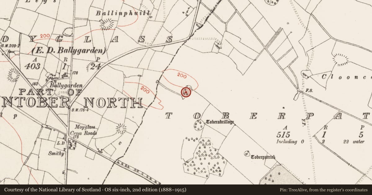 Ordnance Survey six-inch map, 2nd edition (1888–1915) covering the location of Ringfort - rath, Toberpatrick, County Roscommon, with a pin at the register's coordinates