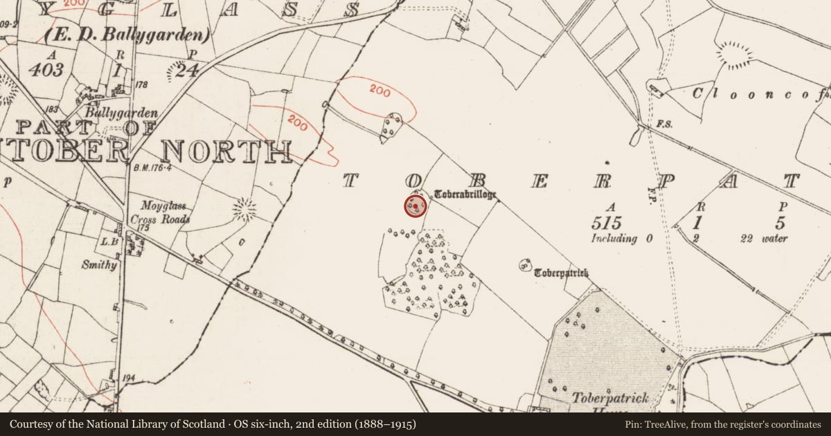 Ordnance Survey six-inch map, 2nd edition (1888–1915) covering the location of Ringfort - rath, Toberpatrick, County Roscommon, with a pin at the register's coordinates